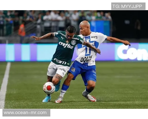 梅尔加与巴伊亚的激烈对决揭示了足球战术的精彩与魅力