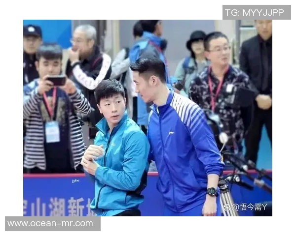 马龙与王励勤对决次数统计及其在乒乓球历史中的影响分析